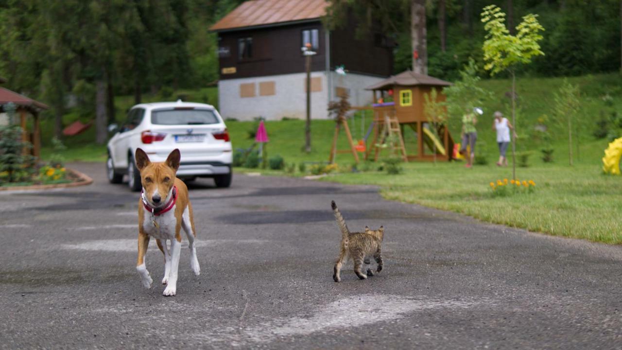 Chaty Studienky Oravsky Biely Potok Exteriér fotografie